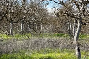 9415 Stevenson Bridge Rd, Winters, CA 95694 - Photo 6