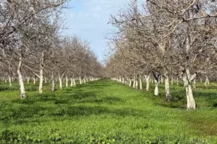 9415 Stevenson Bridge Rd, Winters, CA 95694 - Photo 4