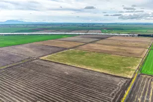 3834 State Hwy 84 None, Walnut Grove, CA 95690 - Photo 18