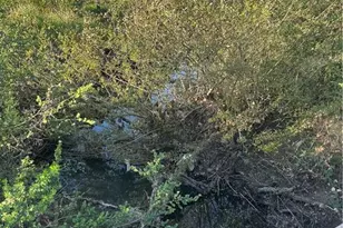 705 Shiloh Rd, Windsor, CA 95492 - Photo 6