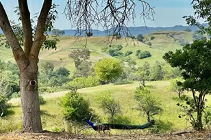 8551 Windy Ridge Trail, Winters, CA 95694 - Photo 48