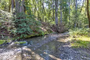 24301 King Ridge Rd, Cazadero, CA 95421 - Photo 60