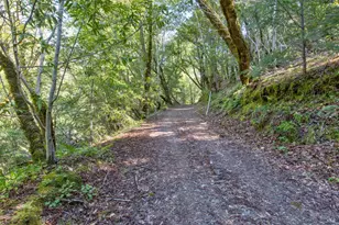 24301 King Ridge Rd, Cazadero, CA 95421 - Photo 68