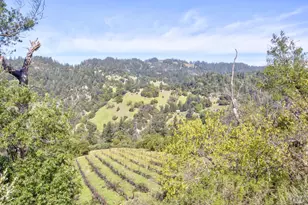 24301 King Ridge Rd, Cazadero, CA 95421 - Photo 76