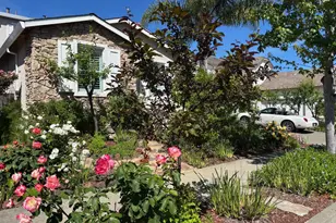 8539 Zinfandel Dr, Windsor, CA 95492 - Photo 4