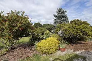 1426 Darby Rd, Sebastopol, CA 95472 - Photo 38