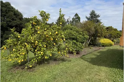 1426 Darby Road, Sebastopol, CA 95472 - Photo 40