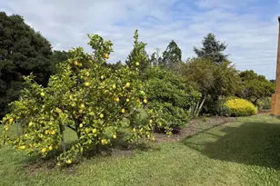1426 Darby Rd, Sebastopol, CA 95472 - Photo 40
