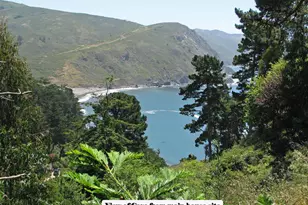 47 Charlottes Way, Muir Beach, CA 94965 - Photo 1