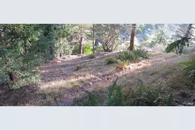 47 Charlottes Way, Muir Beach, CA 94965 - Photo 8