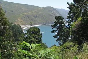 47 Charlottes Way, Muir Beach, CA 94965 - Photo 1