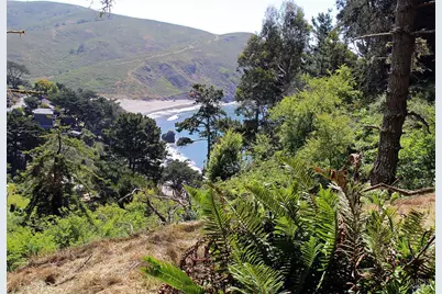 47 Charlottes Way, Muir Beach, CA 94965 - Photo 14