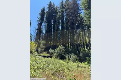 8158 Mill Creek Road, Healdsburg, CA 95448 - Photo 26