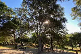 1275 Burnside Rd, Sebastopol, CA 94572 - Photo 1