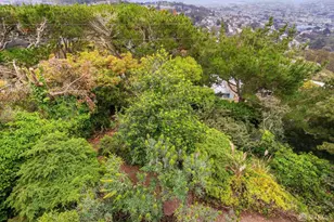 1 El Sereno Ct, San Francisco, CA 94127 - Photo 44
