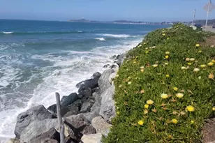 380 Medio Ave, Half Moon Bay, CA 94019 - Photo 54