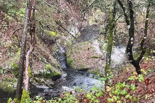 7771 Boondock Trail, Somerset, CA 95684 - Photo 1