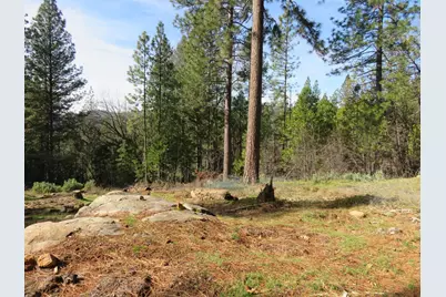 1311 Quartz Mountain Road, West Point, CA 95255 - Photo 1