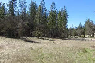 79 Black Oak Dr, Rail Road Flat, CA 95245 - Photo 1