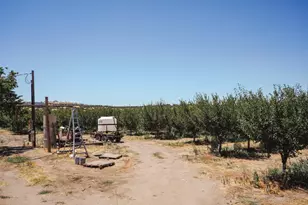 10748 Ingram Ln, Live Oak, CA 95953 - Photo 1