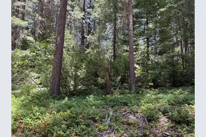 14145 La Porte Road, Strawberry Valley, CA 95981 - Photo 1