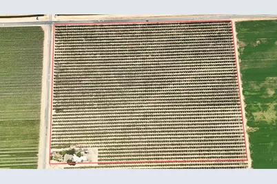 7242 Road 23, Madera, CA 93637 - Photo 1