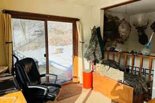 14190 Goldmine Rd, Pearl City, IL 61062 - Photo 8