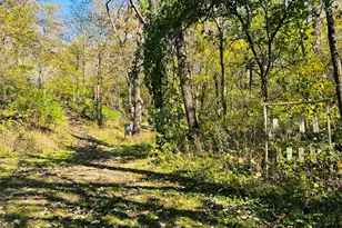 14190 Goldmine Rd, Pearl City, IL 61062 - Photo 40