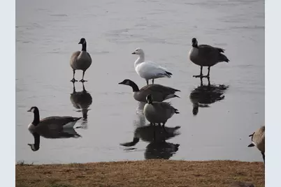 665 Lake Summerset Road, Lake Summerset, IL 61019 - Photo 6
