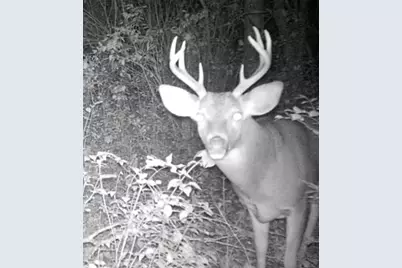 Us Bypass 20, Freeport, IL 61032 - Photo 6