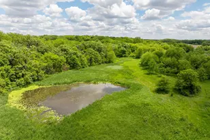 10385 N Rock City Rd, German Valley, IL 61039 - Photo 36