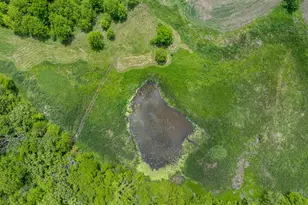 10385 N Rock City Rd, German Valley, IL 61039 - Photo 42