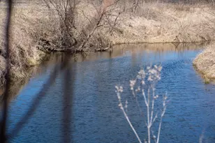 10385 N Rock City Rd, German Valley, IL 61039 - Photo 94