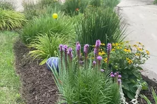 318 N 4th St, Savanna, IL 61074 - Photo 8