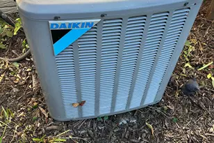 318 N 4th St, Savanna, IL 61074 - Photo 42