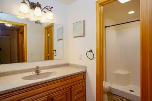 12-199 Willow Ct, Lake Carroll, IL 61046 - Photo 14