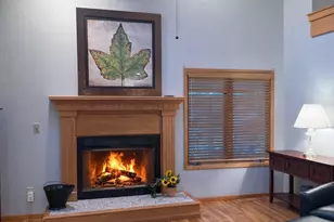 3 Hawthorn Ln, Galena, IL 61036 - Photo 2