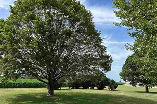 70 N Main St, La Moille, IL 61330 - Photo 44