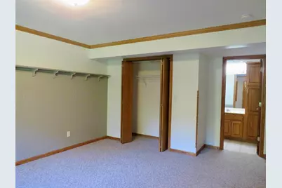 812 Shadow Bluff Drive, Galena, IL 61036 - Photo 48