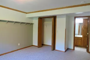 812 Shadow Bluff Dr, Galena, IL 61036 - Photo 48