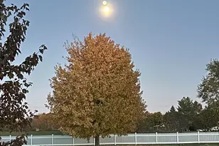 8551 Rote Rd, Rockford, IL 61107 - Photo 80