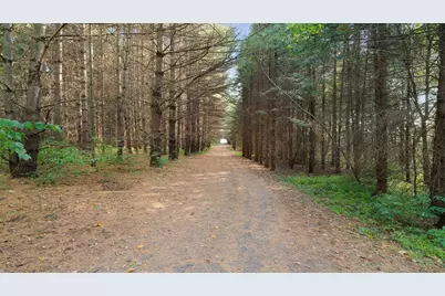 5810 W Lightsville Road, Leaf River, IL 61047 - Photo 58