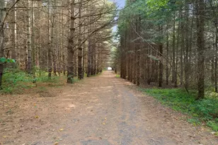 5810 W Lightsville Rd, Leaf River, IL 61047 - Photo 58