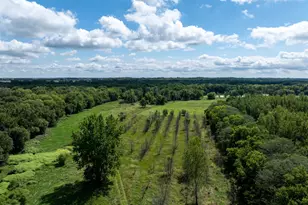 0 Banks Rd, Erie, IL 61250 - Photo 56