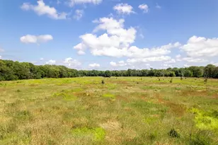 0 Banks Rd, Erie, IL 61250 - Photo 32