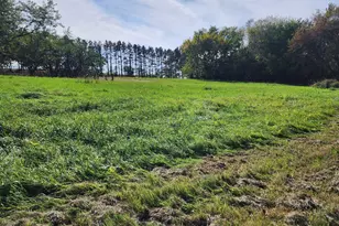 205 Il Rte 64, Lanark, IL 61046 - Photo 36