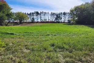 205 Il Rte 64, Lanark, IL 61046 - Photo 40