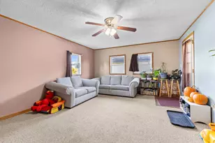 411 S Walnut Ave, Forreston, IL 61030 - Photo 6