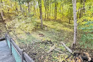 1 Jonquil Ct, Galena, IL 61036 - Photo 34