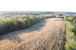 7151 W Blackjack Rd, Hanover, IL 61041 - Photo 4